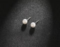 Best Selling Wild Fashion Simple Pearl Bean  Earrings Style Women Girls Earrings Jewelry Wholesale Crystal Earrings Brincos