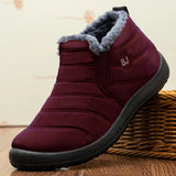 Color 3