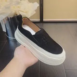 Color 3