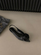 Color 2