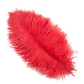 Party 10Pcs/Lot Colorful Ostrich Feather 15-40cm for Crafts Dream Catcher Decoration Jewelry Creation Wedding Party Table Centerpieces