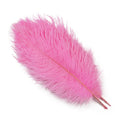 Party 10Pcs/Lot Colorful Ostrich Feather 15-40cm for Crafts Dream Catcher Decoration Jewelry Creation Wedding Party Table Centerpieces