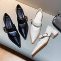 2025 New Designer Vintage Heels Women Silvery Pointed Toe Women Mary Jane Shoes Fashion Shallow Casual Low Heel Dress Shoes