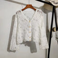 Daisy Embroidery Crochet Top Long Sleeve Button Down V-Neck Sheer Open-knit Blouse Cover Up Women Summer Fairycore Outfit