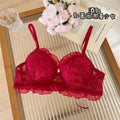 NIEPOセクシーな Japanese Style Lace Bra Set Wireless Thin Cup Bow Tie Band Push Up Anti Sag Soft Lingerie For Small Chest Ladies S-XL