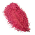 Party 10Pcs/Lot Colorful Ostrich Feather 15-40cm for Crafts Dream Catcher Decoration Jewelry Creation Wedding Party Table Centerpieces