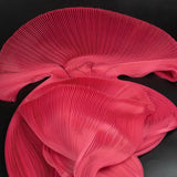 Color 4