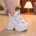New Women Beige Chunky Sneakers Platform Dad Shoes Lace Up Mesh Comfortable Height Increasing Versatile Spring Autumn