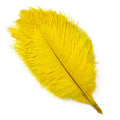 Party 10Pcs/Lot Colorful Ostrich Feather 15-40cm for Crafts Dream Catcher Decoration Jewelry Creation Wedding Party Table Centerpieces