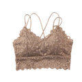 Women Lace Bras Sexy Bralette Solid Color Underwear Female Wireless Underwear Comfort Sexy Lingerie Seamless Push-Up Bra Padded