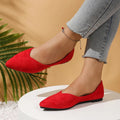 2026 Casual Breathable Pointed-toe Shoes for Women in Summer  Autumn Fashion Bag Head Comfortable Flat Shoes