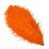 Color 6