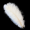 Party 10Pcs/Lot Colorful Ostrich Feather 15-40cm for Crafts Dream Catcher Decoration Jewelry Creation Wedding Party Table Centerpieces