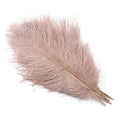 Party 10Pcs/Lot Colorful Ostrich Feather 15-40cm for Crafts Dream Catcher Decoration Jewelry Creation Wedding Party Table Centerpieces