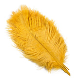 Color 15