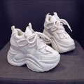 New Women Beige Chunky Sneakers Platform Dad Shoes Lace Up Mesh Comfortable Height Increasing Versatile Spring Autumn