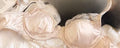 French Satin Lace Minimizer Bra Set Women Summer Thin Cup Underwired Bra Elegant Soft Lingerie Underwear Suit for Daily Wear