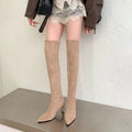 Women's Boots Sexy Pointed Toe Over The Knee Boots Square Heel Warm High Boots Elastic Sock Shoes for Women Suede Back Zip Pumps