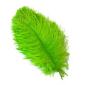 Party 10Pcs/Lot Colorful Ostrich Feather 15-40cm for Crafts Dream Catcher Decoration Jewelry Creation Wedding Party Table Centerpieces