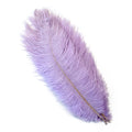 Party 10Pcs/Lot Colorful Ostrich Feather 15-40cm for Crafts Dream Catcher Decoration Jewelry Creation Wedding Party Table Centerpieces