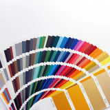 Color 5